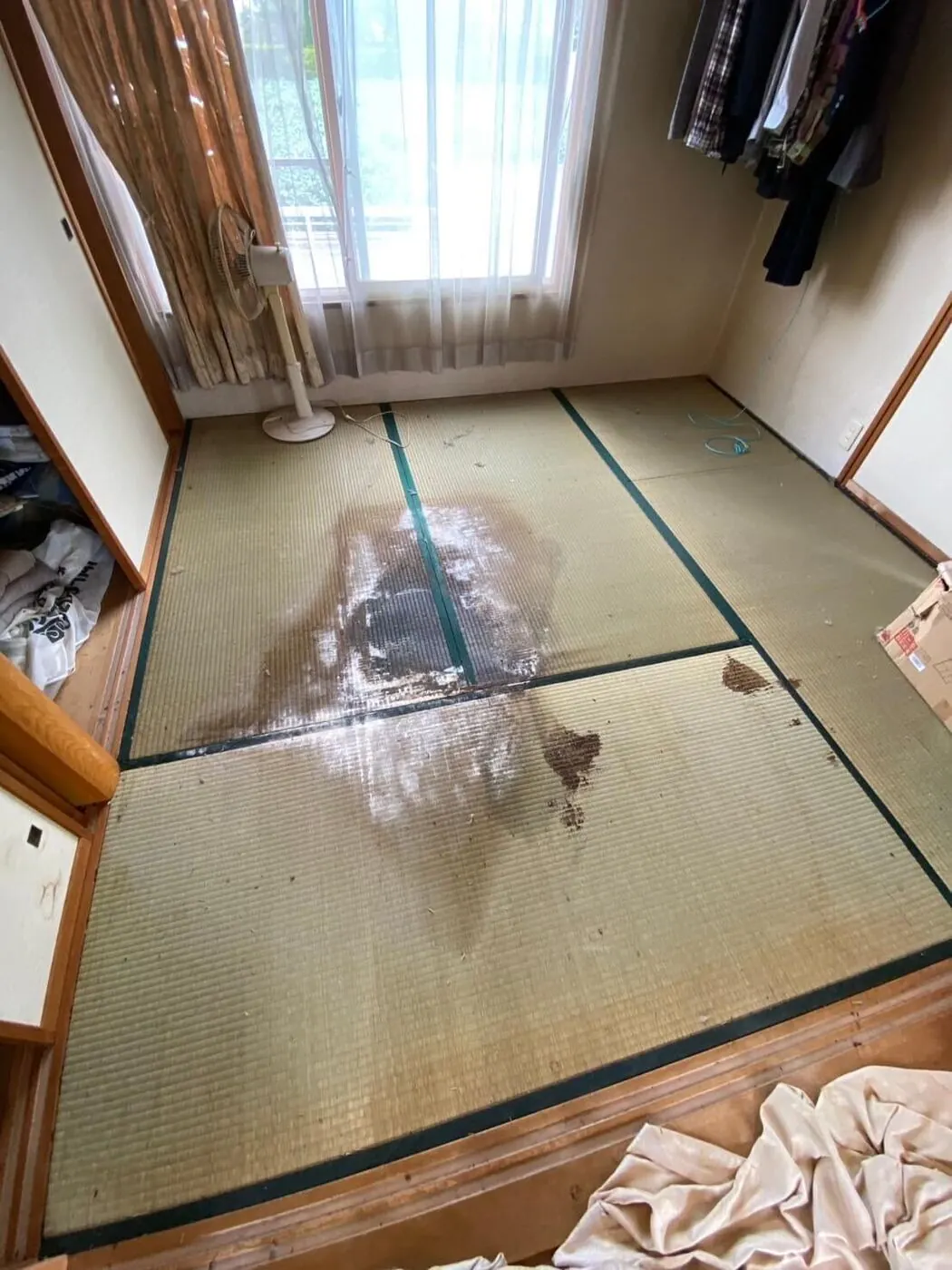 特殊清掃の現場